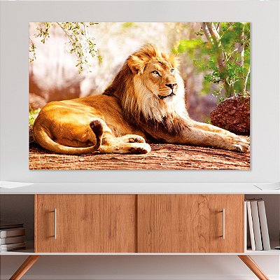 Quadro Decorativo Canvas Animal Selvagem Leão Deitado na Selva Horizontal