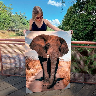 Quadro Decorativo Canvas Animal Selvagem Elefante Colorido Caminhando na Estrada Vertical