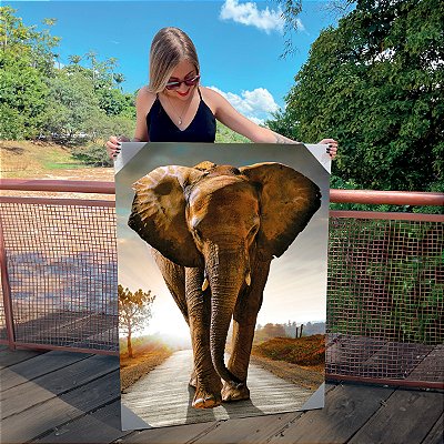 Quadro Decorativo Canvas Animal Selvagem Elefante Caminhando na Estrada Vertical