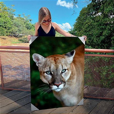 Quadro Decorativo Canvas Animal Selvagem Puma na Floresta Vertical