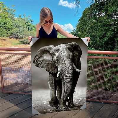 Quadro Decorativo Canvas Animal Selvagem Elefante Preto e Branco Caminhando Vertical