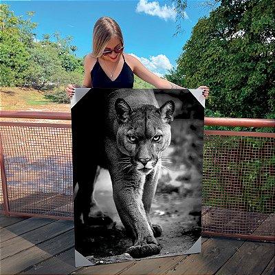 Quadro Decorativo Canvas Animal Selvagem Puma Preto e Branco Vertical