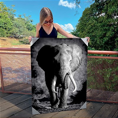 Quadro Decorativo Canvas Animal Selvagem Elefante Preto e Branco Vertical