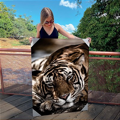 Quadro Decorativo Canvas Animais Silvestres Face Tigre Deitado Vertical