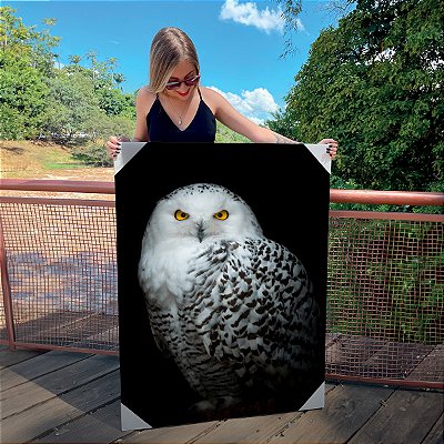 Quadro Decorativo Canvas Animais Coruja Branca Fundo Preto Vertical