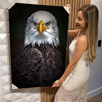 Quadro Decorativo Flutuante Animal Silvestre Águia de Cabeça Branca Vertical