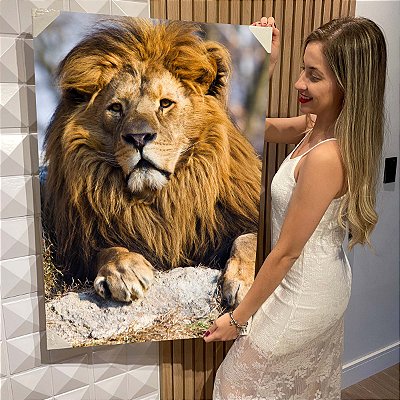 Quadro Decorativo Flutuante Animal Selvagem Tigre Deitado na Grama