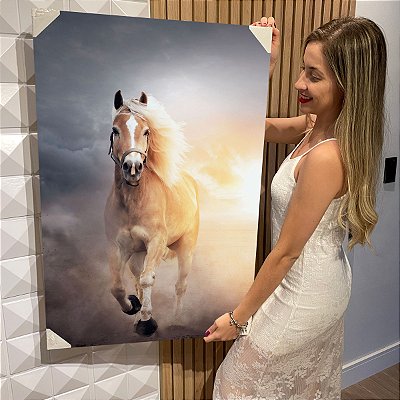 Cavalo Com Crina Branca Desenho Arte Quadro Canvas 60x40cm