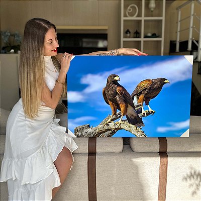 Quadro Decorativo Flutuante Animal Selvagem Águia Real No Campo Horizontal