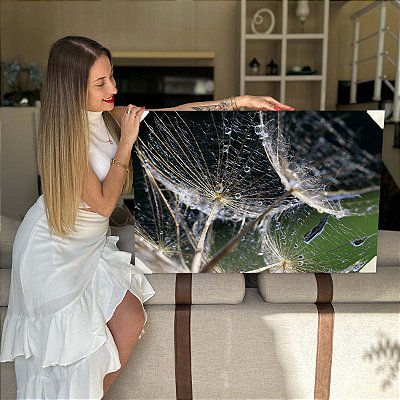 Quadro Decorativo Flutuante Floral Detalhes Minimalistas de Dentes de Leão Molhados Horizontal