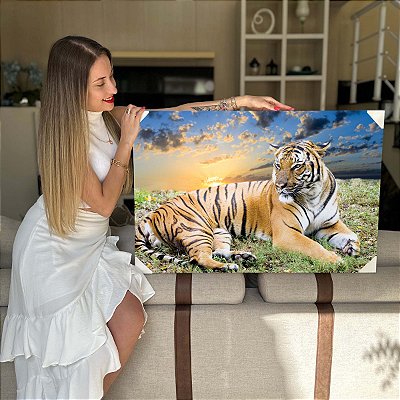 Quadro Decorativo Flutuante Animal Selvagem Tigre Deitado na Grama Horizontal