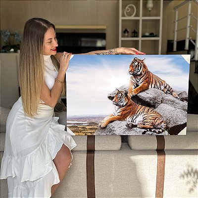 Quadro Decorativo Flutuante Animal Selvagem Casal de Tigres Sobre a Pedra Horizontal