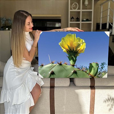 Quadro Decorativo Flutuante Natureza Floral Cacto em Flor Amarela Horizontal