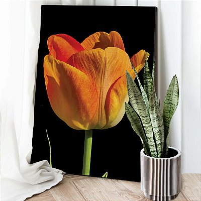 Quadro Decorativo Canvas Floral Flor Tulipa Rosa com Fundo Preto - Estilo  Arte Design