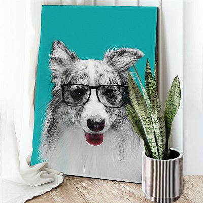 Quadro Decorativo Canvas Dog com Óculos Border Collie Pets Vertical