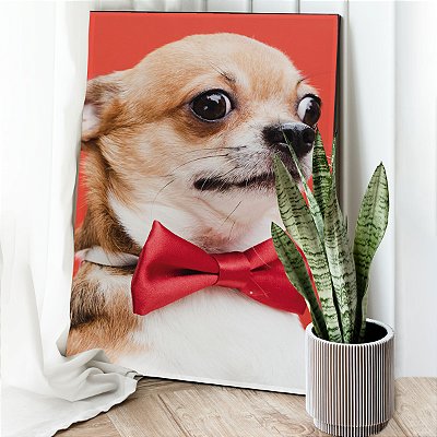 Quadro Decorativo Canvas Dog Chihuahua Pets Fundo Vermelho Vertical