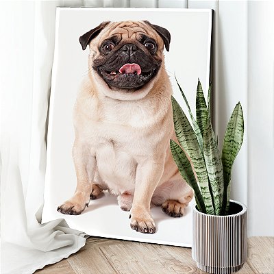 Quadro Decorativo Canvas Dog Pug Pets Vertical