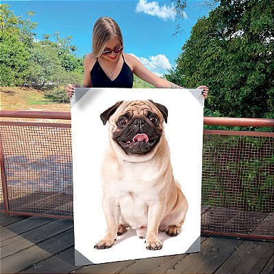 Quadro Decorativo Canvas Dog Pug Pets Vertical