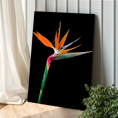 Quadro Decorativo Canvas Flor Strelitzia reginae Ave do paraíso Vertical