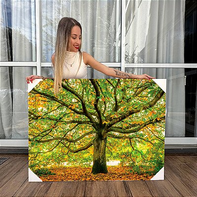 Quadro Decorativo Canvas Paisagem Árvore Grande com Folhas caídas no chão Horizontal