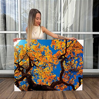 Quadro Decorativo Canvas Paisagem de Copa de Ipê Amarelo Horizontal