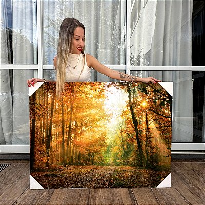 Quadro Decorativo Canvas Paisagem Natureza Bosque ao Amanhecer Horizontal