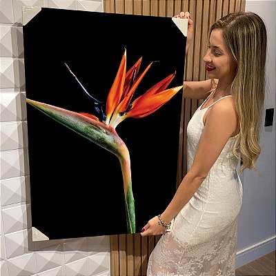 Quadro Decorativo Flutuante Flor Strelitzia reginae Ave do paraíso Vertical