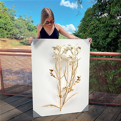 Quadro Decorativo Canvas Floral Ramo de Flores Brancas e Douradas Gold
