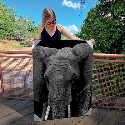 Quadro Decorativo Canvas Animais Elefante Fundo Preto