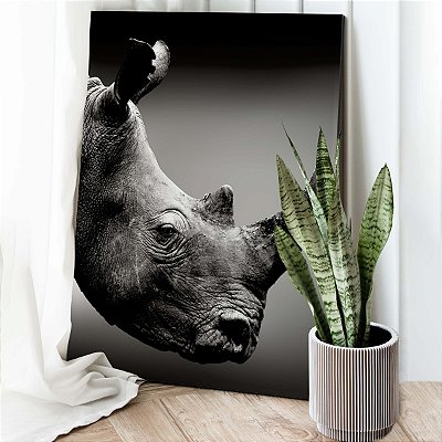 Quadro Decorativo Canvas Animais Rinoceronte Preto e Branco