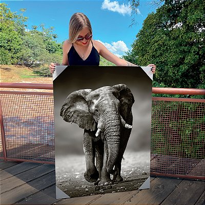 Quadro Decorativo Canvas Animais Elefante Preto e Branco