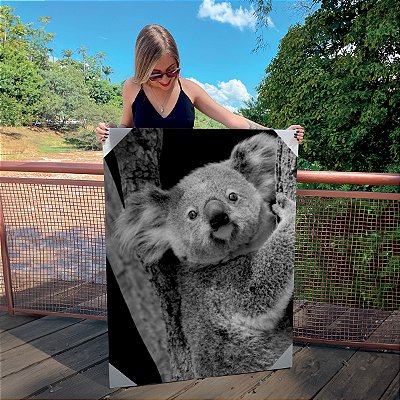 Quadro Decorativo Canvas Animais Coala Preto e Branco