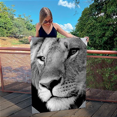 Quadro Decorativo Canvas Animal Leoa Perfil Preto e Branco