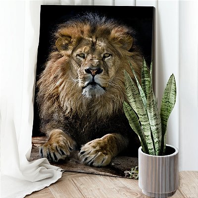 Quadro Decorativo Canvas Animal Selvagem Leão Imponente Deitado Vertical