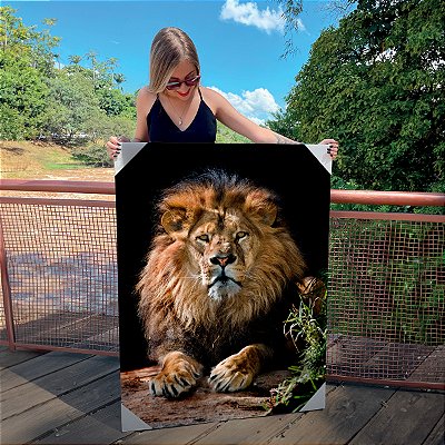 Quadro Decorativo Canvas Animal Selvagem Leão Imponente Deitado Vertical