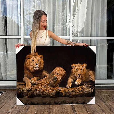 Quadro Decorativo Canvas Animal Selvagem Casal Leão sobre Tronco Horizontal