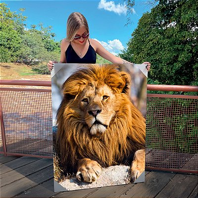 Quadro Decorativo Canvas Animal Selvagem Leão Deitado sob a Pedra Vertical