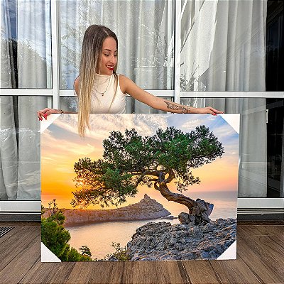 Quadro Decorativo Canvas Paisagem Árvore Bonsai Japonês Horizontal
