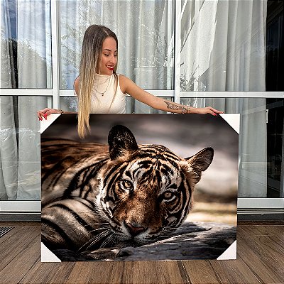 Quadro Decorativo Canvas Animais Tigre Deitado Horizontal