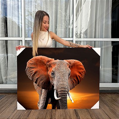 Quadro Decorativo Canvas Animais Elefante Imponente Ao Pôr do Sol Horizontal