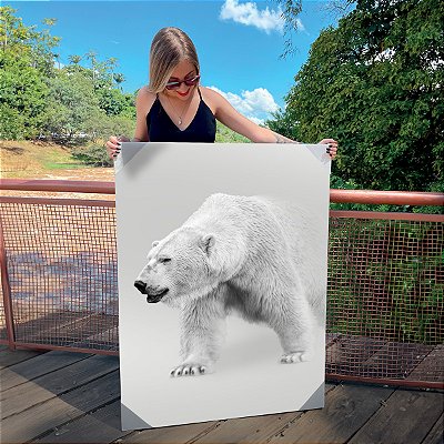 Quadro Decorativo Canvas Urso Polar Branco Vertical