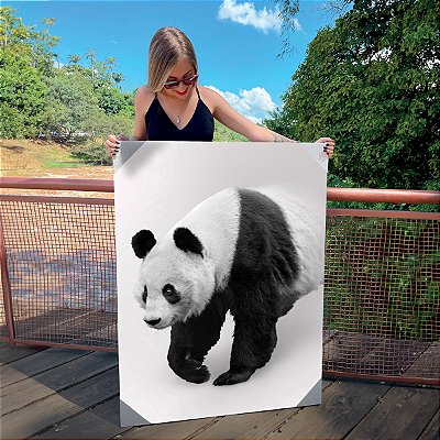 Quadro Decorativo Canvas Urso Panda Vertical