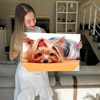 Quadro Decorativo Canvas Pet Cachorro Yorkshire terrier Horizontal