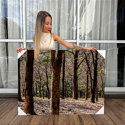Quadro Decorativo Canvas Paisagem de Árvores Altas em Floresta  Horizontal