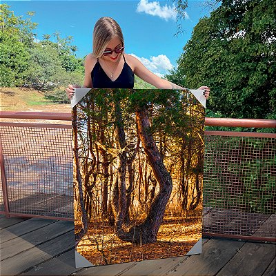 Quadro Decorativo Canvas Paisagem Árvores Sinuosas na Floresta Vertical