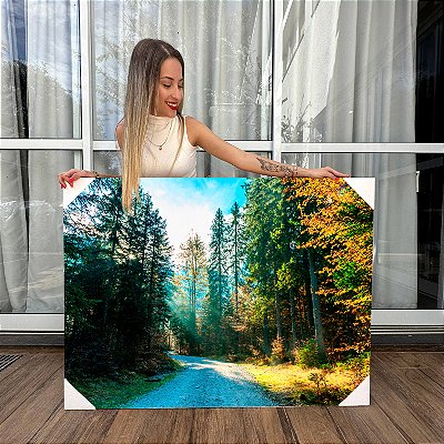 Quadro Decorativo Canvas Paisagem Estrada de Terra Cercada Por Floresta Horizontal