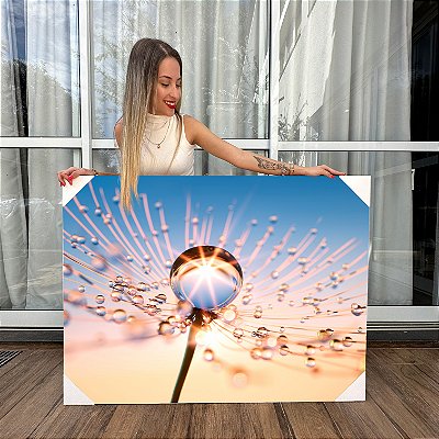 Quadro Decorativo Canvas Paisagem de Dente de Leão Refletindo o Sol em uma Gota de água Horizontal