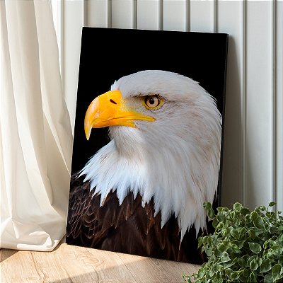 Quadro Decorativo Canvas Animais Águia de Cabeça Branca em Perfil Vertical