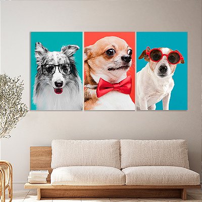Quadros Decorativos Trio em Canvas Animais Pets em Fundos Coloridos
