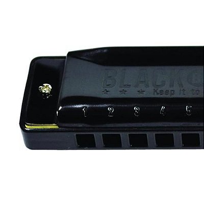 Harmonica Black Blues 6020 em E (Mi) HB - Hering F2716